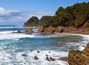 In una successione di graziose calette si sviluppa la bellissima costa di Punta Licosa (lato Ogliastro Marina).