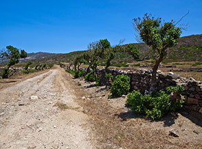 La sterrata che attraversa il Piano Campo Perdu verso l’area archeologica di Domus de Janas.