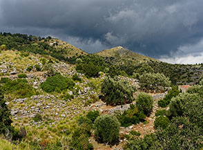 Scorcio agreste nel Vallone Trarro, sullo sfondo Serra Annunziata.