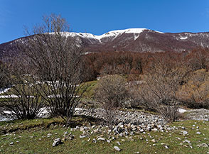 Scorcio sui Piani di Vacquarro con la Serra del Prete sullo sfondo.