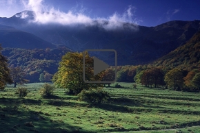 L’Autunno che non ti avevo ancora raccontato ✦ Eppure sentire (un senso di te)