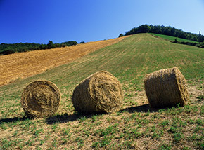 “Fine della corsa” (nei pressi dei ruderi della Torre di Polegro a Pretoro).