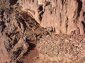 “Capolinea” (cammelli al termine della pista per Monte Mosè, alla base della Parete Est).