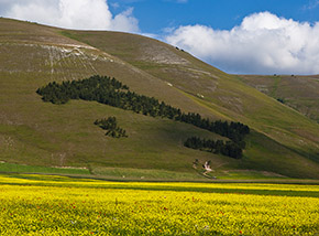 “L’Italia in posa“ vista dal Piano Grande di Castelluccio di Norcia.