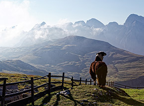 “L’ospite insolito“ (un lama al Rifugio Bolzano guarda il Catinaccio).