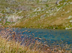 “Lost“ (Lago Lungo).