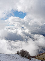 “Polifemo“ (uno sparuto gruppo di faggi, naufargo sui pendii sommitali del Monte Rotondo, guardato da un occhio azzurro di cielo).