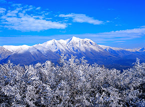 La bianca catena del Velino spicca sul bosco che circonda la cima del Monte Faìto.