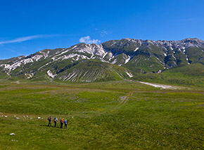 Sui pascoli del Piano di Pietranzoni a Campo Imperatore, sullo sfondo la cresta del Brancastello.
