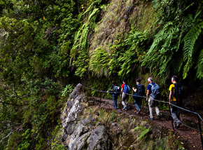 Sulla via del ritorno lungo la Levada do Caldeirao Verde.