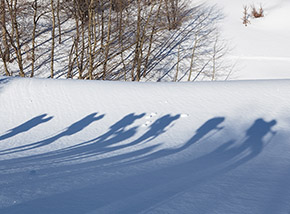 “Fila d’ombre“ (Valle Leona).