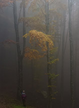 “Nebbia d’Autunno“ (Valle Scura).