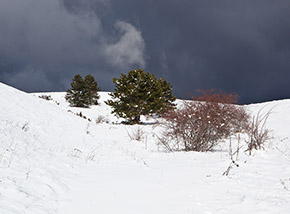 Scorcio in prossimità dell’altopiano di Pozzo della Stalla.
