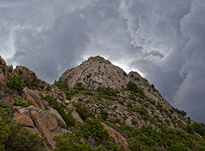 Le punte dei Colli di San Bartolomeo.