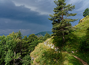 “Prima del temporale“ (Sentiero della Forra del Lupo).