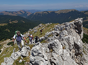 Un tratto della bellissima cresta semirocciosa che conduce su Cima Prato dei Sassi da Nord.