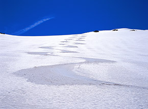 “Serpentina” (sui pendii alla testata del Vallone del Monte).
