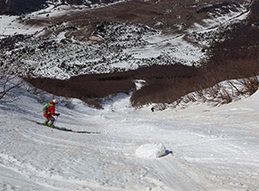 Il Vallone Bianco va stringendosi via via che si avvicina al bosco.