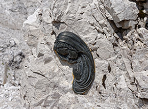 “Nel palmo di una mano“ (Passo della Sentinella).
