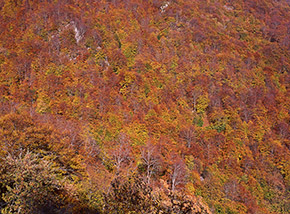 “Il mantello broccato” (Valle Vaita).