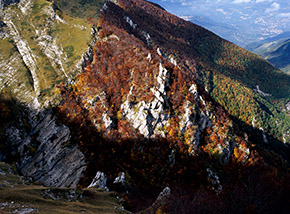 La splendida costola di roccia e bosco che si affaccia sul Fosso della Rava in quota.