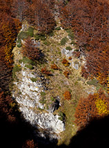 Uno squarcio di prato si apre nel bosco della Valle del Rio Castellano.
