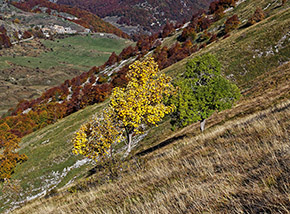 Scorcio d’autunno lungo il sentiero per il Valico dello Scalone.