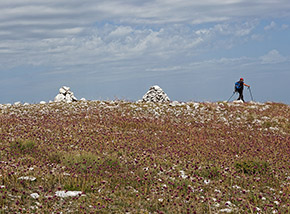 La cima di Serra Capra Morta tappezzata dalla rossa fioritura dell’Aglio delle biscie.