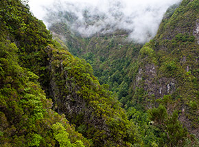 Scorcio sulla selvaggia Valle del Ribeiro Grande (o de São Jorge).
