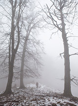 Si innalzano maestosi nella nebbia i grandi faggi che ci accompagnano sulla cresta verso il Semprevisa.