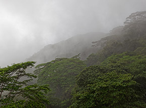 “Una vista...annebbiata“ (vista da Belle Vue, al centro di La Digue).