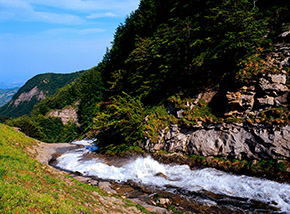 Il roboante Fiume Tordino corre verso valle (Alta Valle del Tordino).