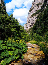 Le acque del Tenna scorrono cristalline fra suggestivi scorci nella Valle del Tenna.