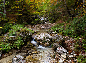 Scorcio sul Torrente Scerto alla base della Camosciara.