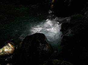 “Sorgente di luce“ (nell’oscuro sottobosco un raggio di luce colpisce le acque del Rio Torto).