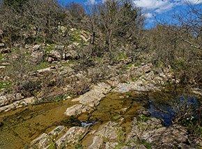 Cristalline piscine naturali sul fondo del Fosso delle Macchie in Valle Ascetta.