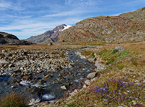 Il Rio del Careser sulla piana glaciale sopra il lago.