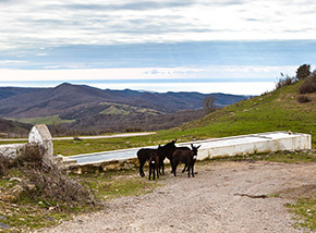 Il Fontanile de la Fontanaccia con vista sul mare.