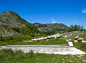 Paesaggio bucolico alla fonte del valico di la Forca (Vallecupola).