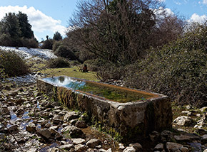 La Fontana Savino alle pendici occidentali del Monte Cacume.