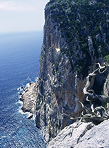 Sulla falesia sopra Cala Magroni.