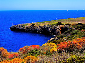 Scorcio della costa nei pressi di Punta San Francesco a Giannutri.