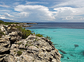 Un tratto della costa orientale di Pianosa.