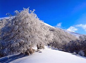 Sul grazioso colletto panoramico ad Ovest del cono sommitale del Tilia.