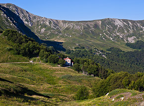 Il Rifugio Cesare Battisti fa capolino dal bosco alla testata della Val dell’Ozola.