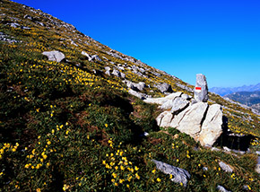 Lungo la salita al Marguareis nei pressi di Col de la Galine.