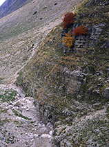 “Le tre sentinelle” (al piccolo canyon nei pressi dello Stazzo di Solagne).