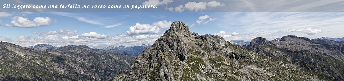 Header Sipario