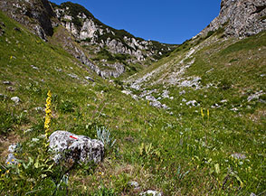 Sui prati all&rsquo;uscita del gole del Fosso la Valle.