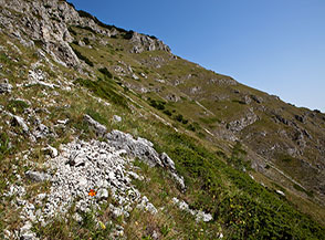 Lungo il Sentiero dei Pastori Nord sui pendii che si affacciano sul Fosso la Valle.